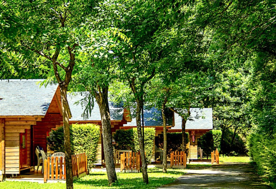 Bungalow Comfort casette in legno immerse nel verde, giorno soleggiato con verande e sedie all’esterno.