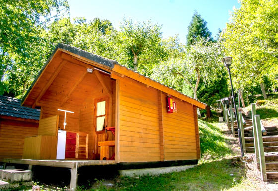 Wooden cabin in a lush green forest, surrounded by trees and sunlight, near stairs, peaceful setting.