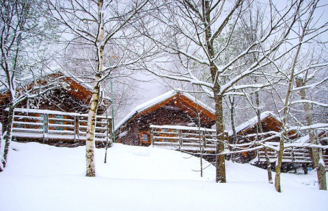 Cabañas de madera cubiertas de nieve durante una nevada en el camping Bedura Park en España, entre árboles.