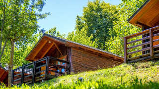 Bungalow Zen wooden cabin with a porch, nestled among lush green trees on a sunny hillside.