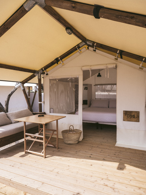Interior de una tienda safari con suelo de madera, sofá, cama, mesa de madera y ambiente acogedor.