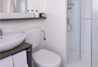 Baño moderno en tienda safari con ducha, inodoro, lavabo, espejo grande y toallas limpias sobre suelo de madera.