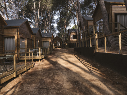 Casas pequeñas tipo bungaló en Wecamp Cala Montgó, España, rodeadas de árboles en un entorno natural.