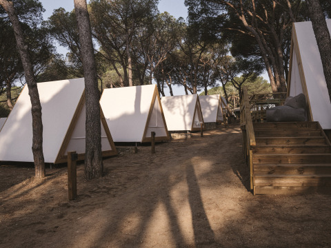 Tende safari triangolari immerse tra gli alberi a Wecamp Cala Montgó, Spagna, all’ombra della pineta.