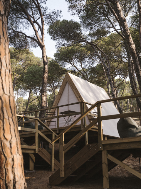 Tenda safari Cabin Tent al Wecamp Cala Montgó in Spagna, su piattaforma di legno tra pini.