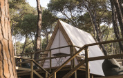 Safari Cabin Tent på Wecamp Cala Montgó i Spanien, hævet på en træterrasse blandt fyrretræer.