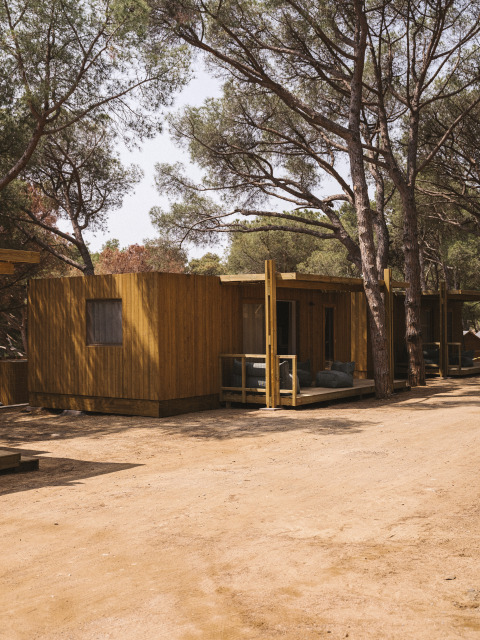 Afbeelding van een MOBIL HOME FAMILY WOOD tiny house tussen de bomen bij Wecamp Cala Montgó, Spanje.
