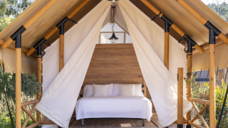 Tente safari glamping avec ossature bois, entrée ouverte et lit double avec draps blancs dans la nature.