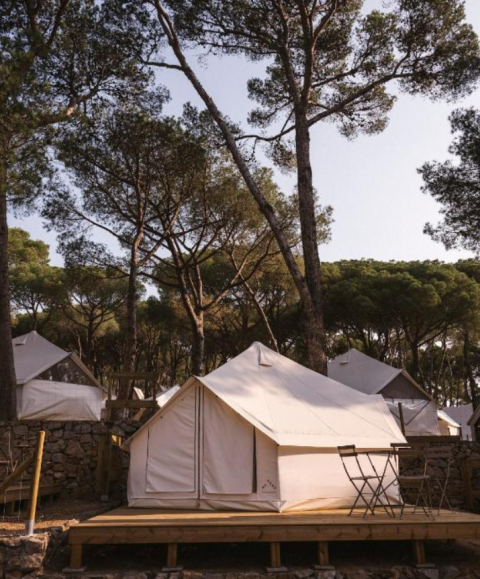 Tienda tipi Bell Tent en Wecamp Cabo de Gata, España, en plataforma de madera rodeada de pinos altos.