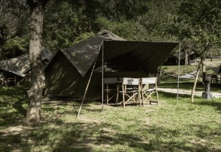 Safaritent Bell Tent bij Wecamp Pedraforca, Spanje, onder bomen en omgeven door groen gras.
