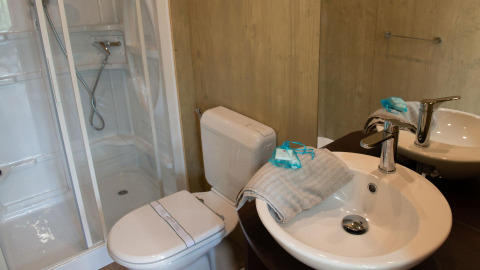 Salle de bain moderne avec douche, toilettes et lavabo dans l’hébergement glamping Lodge Tent Deluxe.