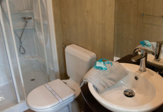 Salle de bain moderne avec douche, toilettes et lavabo dans l’hébergement glamping Lodge Tent Deluxe.