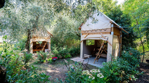 Deux tentes safari Airstay au Chianti Glamping Resort en Italie, entourées de plantes et d’arbres verdoyants.