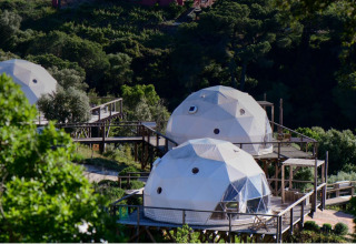 Family Domes in Wecamp Reserva Alecrim, Portugal, omringd door bomen en verhoogde houten wandelpaden.
