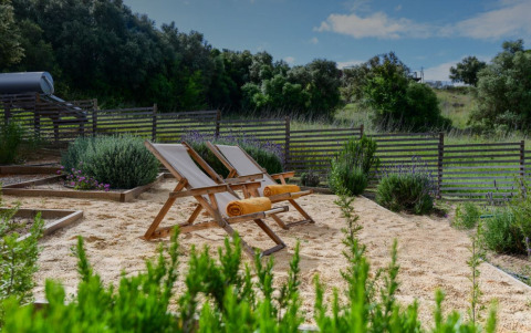 Ontspanningsruimte met ligstoelen en handdoeken in het zand bij Lodge Family, Wecamp Reserva Alecrim, Portugal.