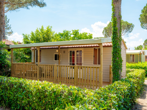 Lodge moderne avec terrasse en bois et clôture, entouré de haies vertes et d'arbres sous un ciel dégagé.