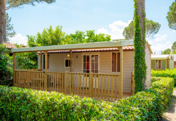 Lodge moderne avec terrasse en bois et clôture, entouré de haies vertes et d'arbres sous un ciel dégagé.