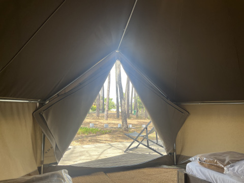 Vista dall’interno di una Bell Tent al Wecamp Sao Miguel in Portogallo, tenda aperta verso il bosco.