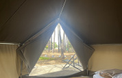 Blick aus einem Bell Tent im Wecamp Sao Miguel in Portugal, mit geöffnetem Eingang und Waldsicht.