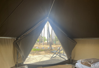 Vue de l’intérieur d’une Bell Tent au Wecamp Sao Miguel au Portugal, tente ouverte sur la forêt.