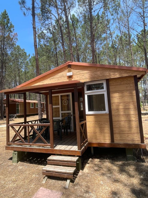 Bungalow Family hut bij Wecamp Sao Miguel in Portugal, met houten veranda en omgeven door pijnbomen.