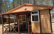 Bungalow Family hytte ved Wecamp Sao Miguel i Portugal, omgivet af fyrretræer og med en træterrasse.