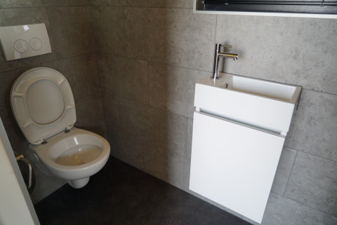 Moderne kleine badkamer in Tiny House 2+2 te Hindeloopen, Nederland, met toilet en wastafel.