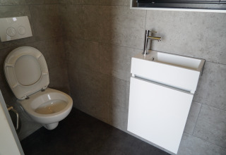 Moderne kleine badkamer in Tiny House 2+2 te Hindeloopen, Nederland, met toilet en wastafel.