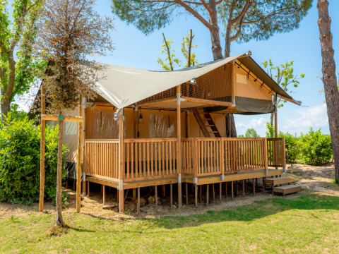 Spotty Lodge Ranger safaritent met houten veranda en overdekt terras, omgeven door groene bomen.