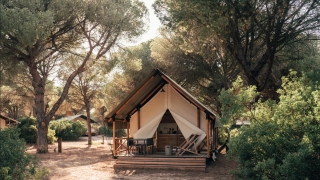Tienda de safari con terraza de madera y sillas entre pinos altos y vegetación bajo luz natural.