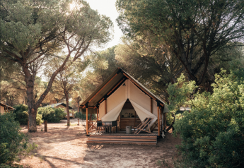 Tenda safari con veranda in legno e sedie, immersa tra pini e vegetazione sotto la luce naturale.