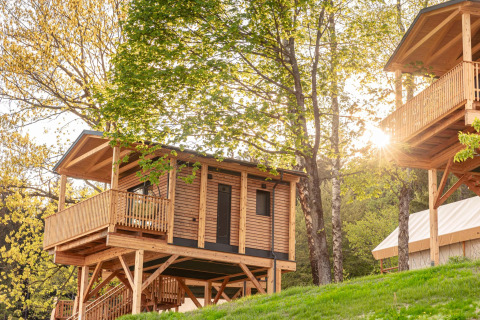 Case sugli alberi in legno su palafitte immerse nel verde, ideali per un'esperienza glamping alla natura.