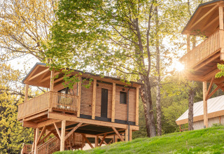 Case sugli alberi in legno su palafitte immerse nel verde, ideali per un'esperienza glamping alla natura.