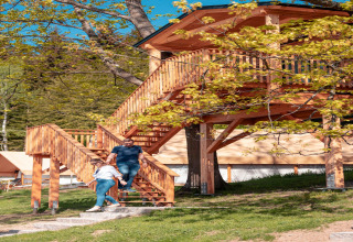 Una coppia scende dalla casa sull’albero in legno in un glamping immerso nella natura e tra alberi verdi.