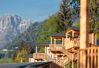 Moderne Holzhütten für Glamping mit Bergblick, umgeben von grünen Bäumen in ruhiger Umgebung.