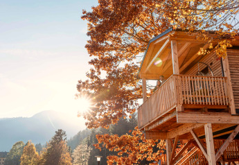 Zonnige boomhut met balkon in herfstbos, ideaal voor glamping en genieten van de natuur.