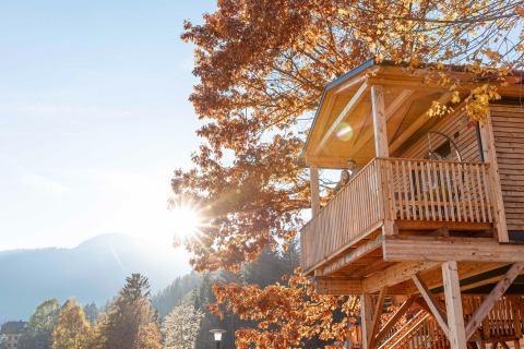 Casa sull’albero soleggiata con balcone in foresta autunnale, perfetta per il glamping e relax.