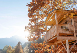 Casa sull’albero soleggiata con balcone in foresta autunnale, perfetta per il glamping e relax.