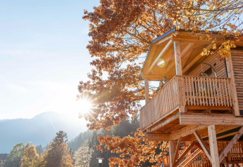 Casa sull’albero soleggiata con balcone in foresta autunnale, perfetta per il glamping e relax.