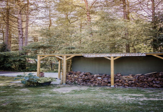 Un ricovero per legna pieno di tronchi nel bosco vicino a una sistemazione glamping.