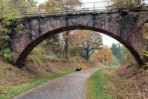 Chemin sinueux sous un pont en pierre, arbres d'automne et chien près d’un hébergement glamping.