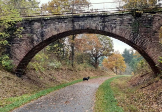 Sentiero curvo sotto un ponte in pietra ad arco, alberi autunnali e cane vicino a glamping.