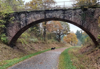 Kronkelend pad onder een stenen boogbrug met hond, herfstbomen bij een glamping accommodatie.