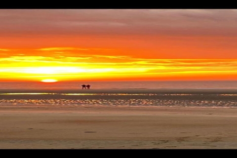 Due persone ammirano un tramonto mozzafiato sulla spiaggia da una sistemazione glamping, cielo arancione acceso.