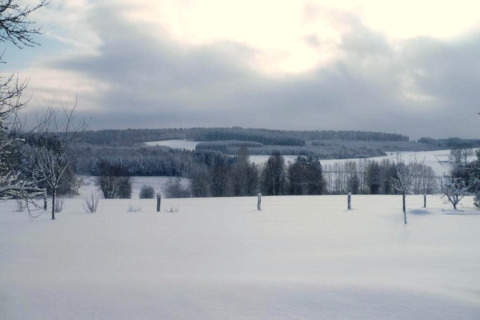 Vue hivernale depuis un hébergement glamping, champs enneigés, arbres dénudés et ciel nuageux.