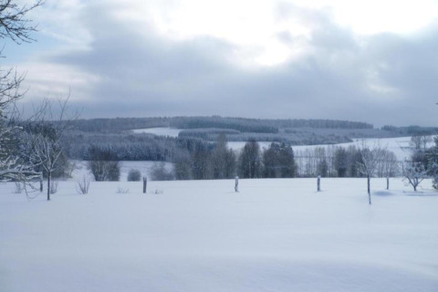 Winteruitzicht vanaf een glamping accommodatie met besneeuwde velden, kale bomen en bewolkte lucht.