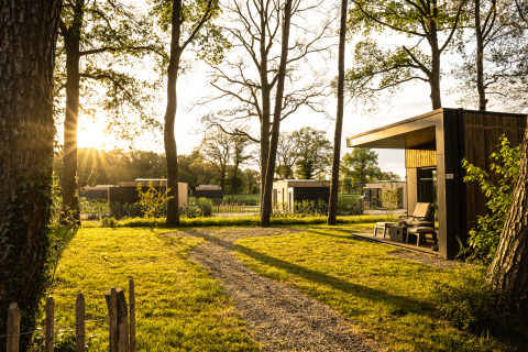 Vakantievilla Boslodge 2 met sauna en hondenomheining bij zonsondergang, moderne lodges tussen bomen.