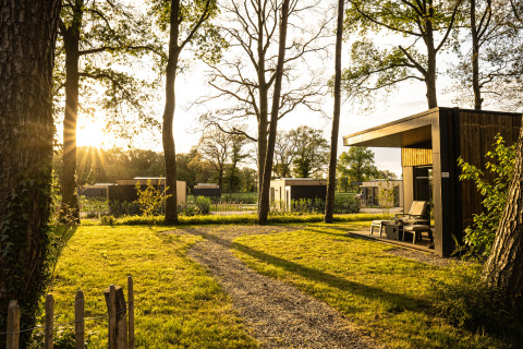 Vista al tramonto su Holiday villa Boslodge 2 con sauna e recinto per cani, lodge moderni immersi nel verde.