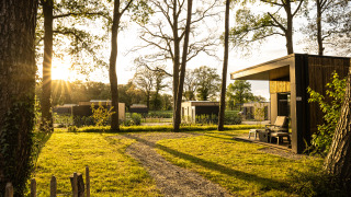 Vue au coucher du soleil sur Holiday villa Boslodge 2 avec sauna et clôture pour chien, lodges modernes.