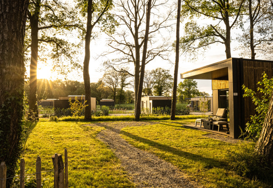 Vista al tramonto su Holiday villa Boslodge 2 con sauna e recinto per cani, lodge moderni immersi nel verde.